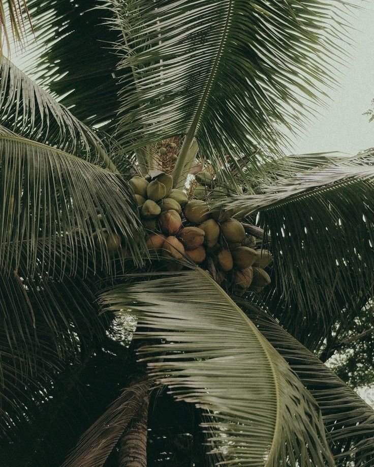 East Lombok landscape