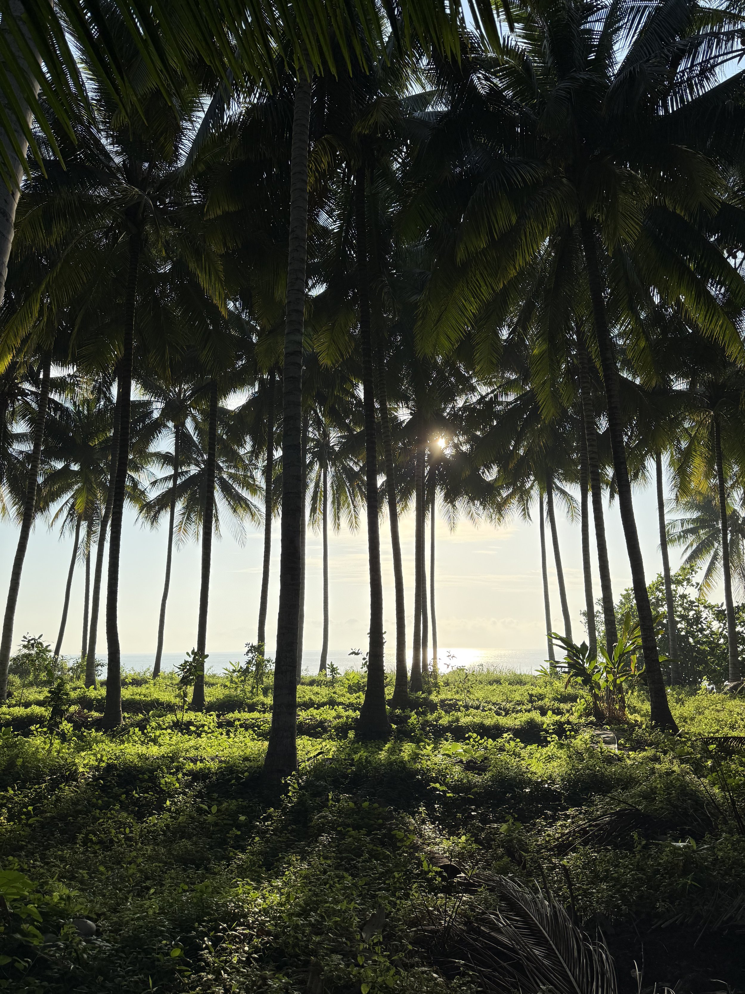 East Lombok
