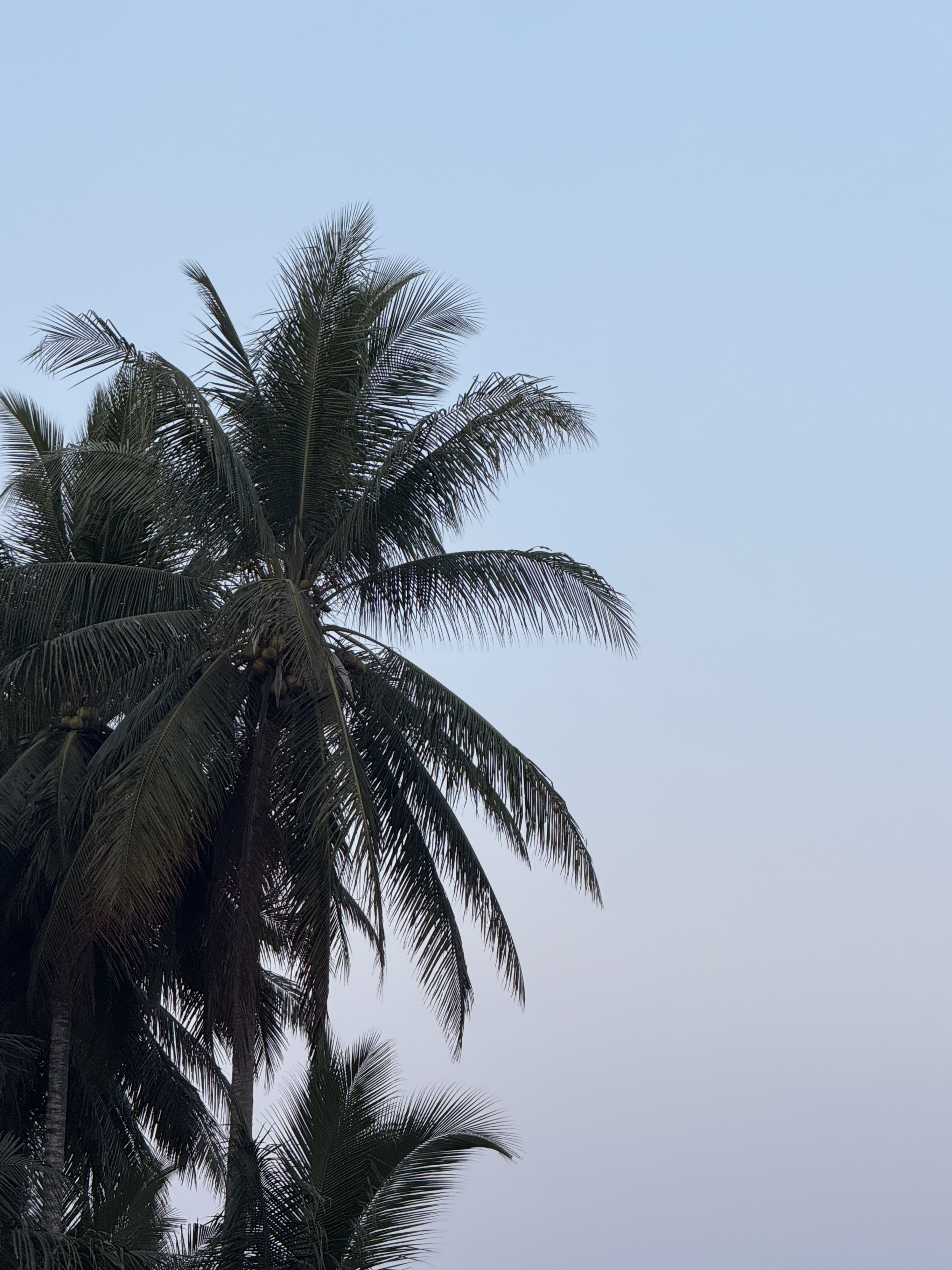 East Lombok Surf Villas founders