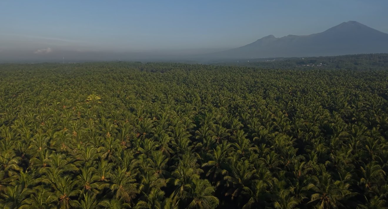 East Lombok landscape